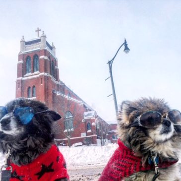 And the Winner is…