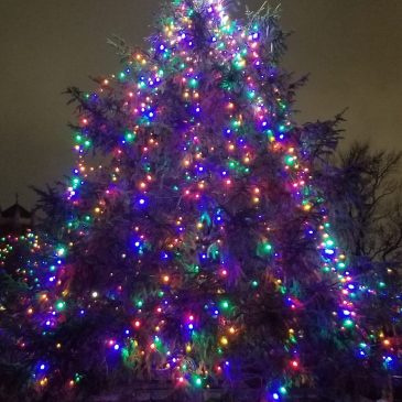 Christmas Tree Lighting – Friday, December 13th